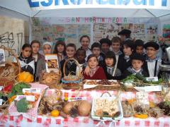 Fería de San Martín 